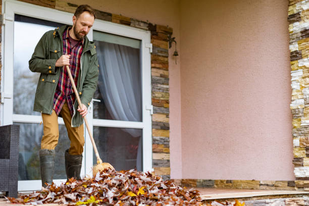 Best Trash Removal Near Me  in Falfurrias, TX